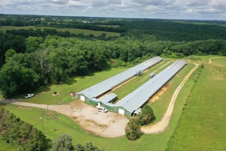 Paul Breeder Farm