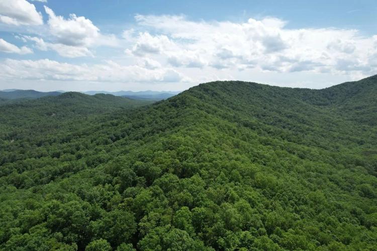 69 +/- Acres- Union County, Georgia