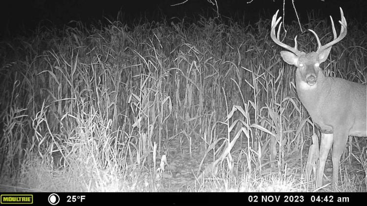 Recreational Paradise in the Driftless Area – 40-Acre Haven in Vernon County, WI