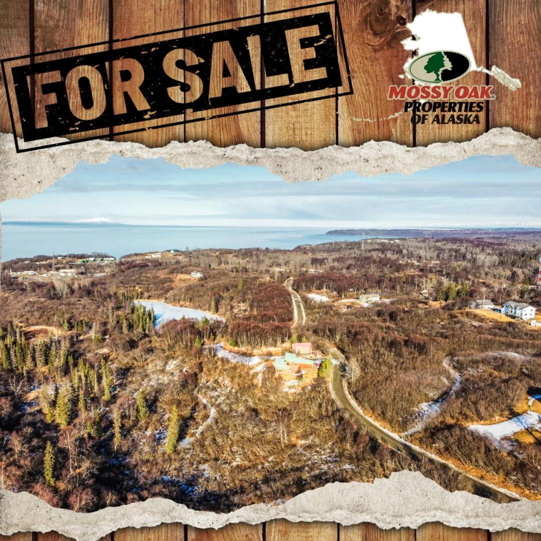 .95 acres VIEW of mountains and Cook inlet in an upscale neighborhood