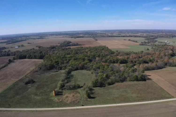 90 Acre St. Clair County Hunting Farm with Live Creek