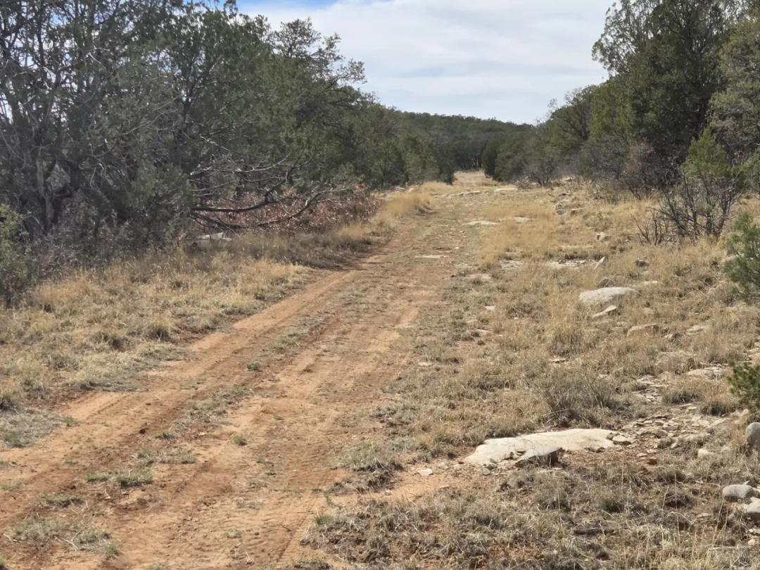 1 acre Remote and Quiet off the beaten path - Timberon New Mexico
