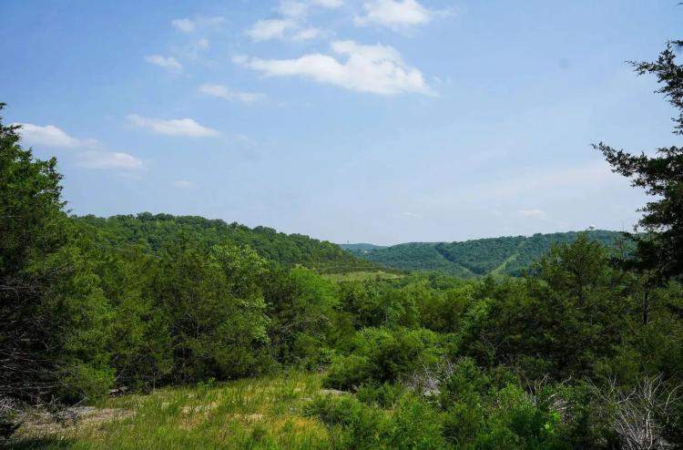 Large Acreage Hunting Tract Near Branson