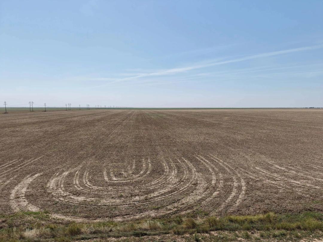 Hansford County Dryland Farm