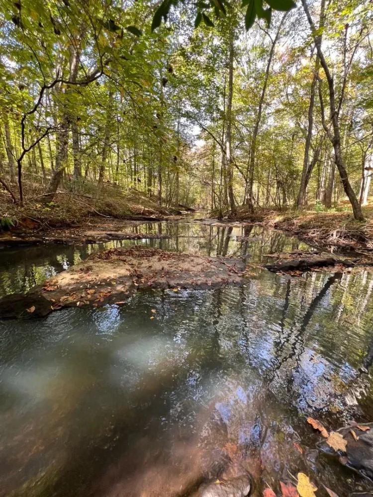 3+ Acres Auburn City Limits