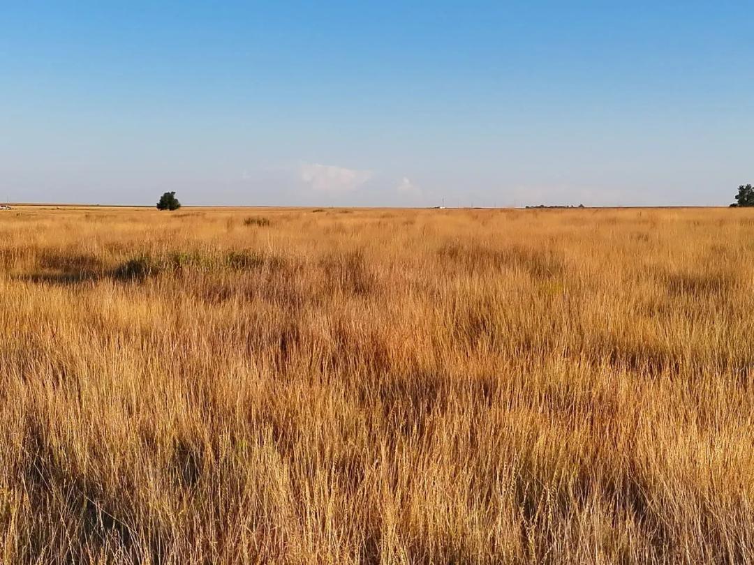 Quarter Section of CRP with Mineral Income & Wind Development Lease