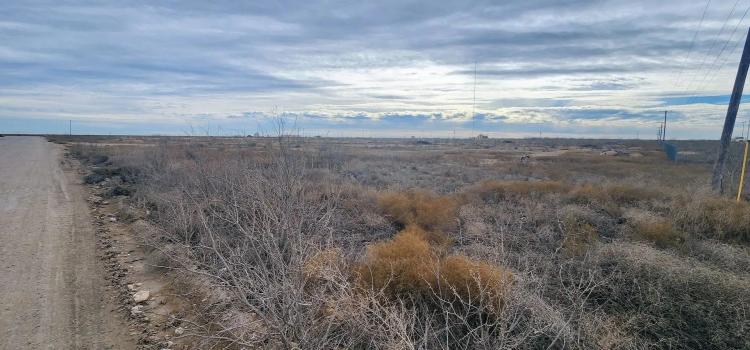 20 Acres in EH Subdivision - Reagan County
