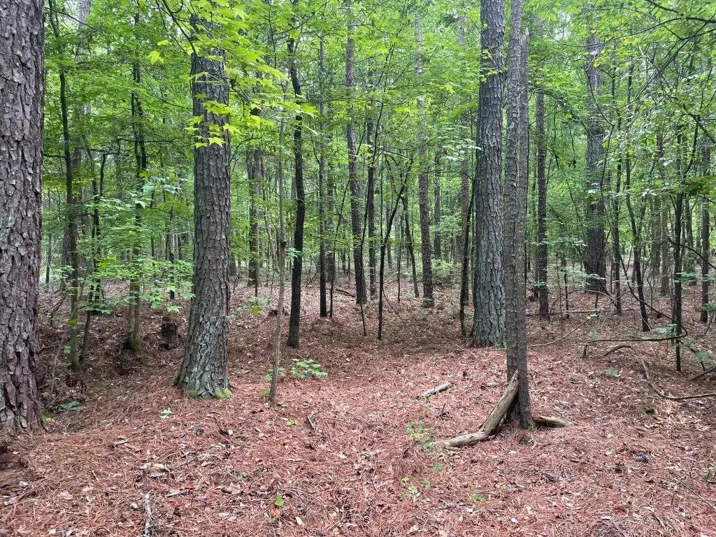 +/- 6.46 Acres – Tract 5 On Clatworthy Road in Honea Path, SC