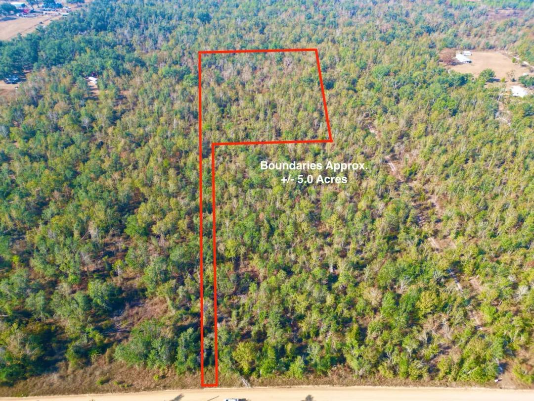 5.01 AC in Lee, FL