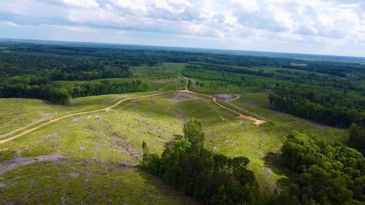 117.00 Acres at 0 Doc Jones Trail