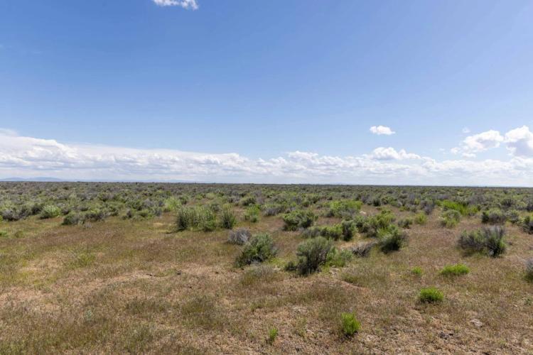 Eastern Oregon Country Sage Acres