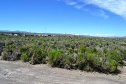 img_12-DSC_3150