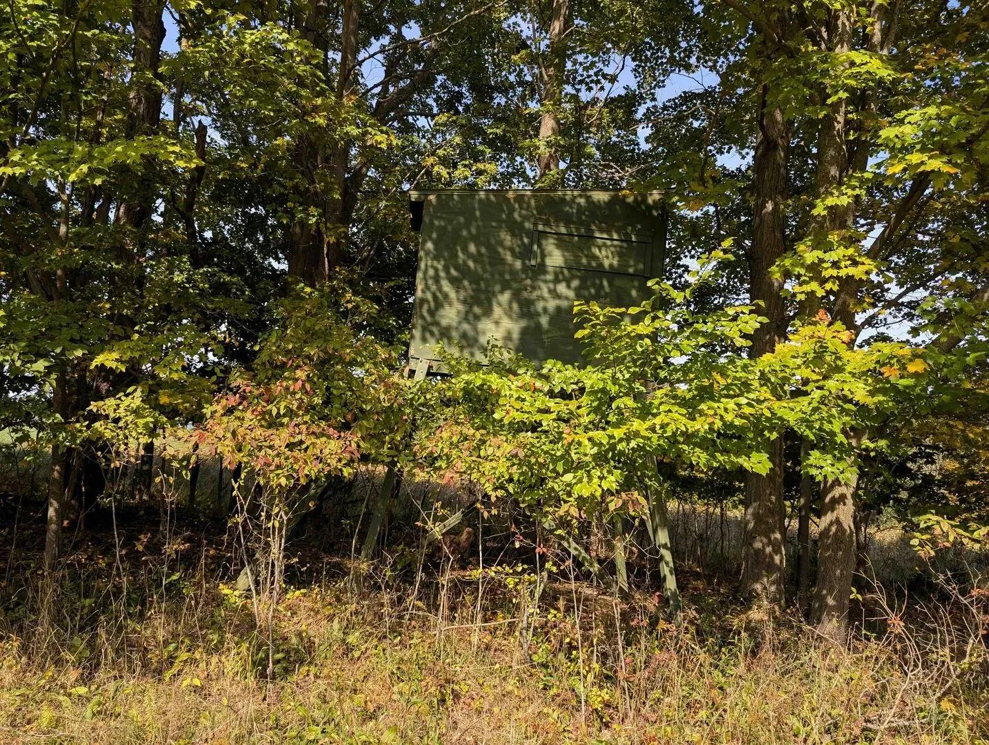 24564897-16