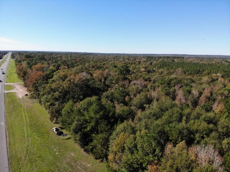 Livingston Hwy 59 31 ac