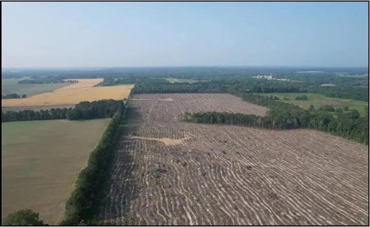 117.1 Acres in Scott County in Morton, MS 