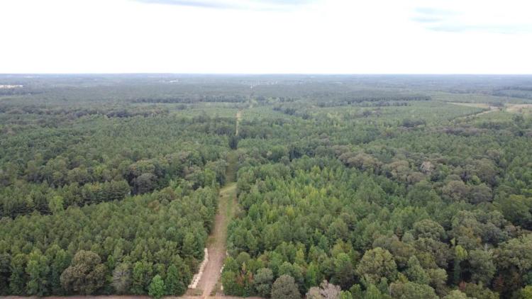 700 Acres Land for Sale Lincoln Parish, LA