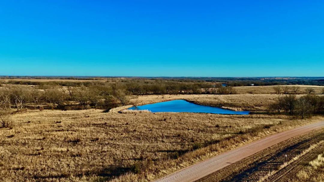 Rolling 50 acres with 2 acre pond, prime build site, and creek bottom views