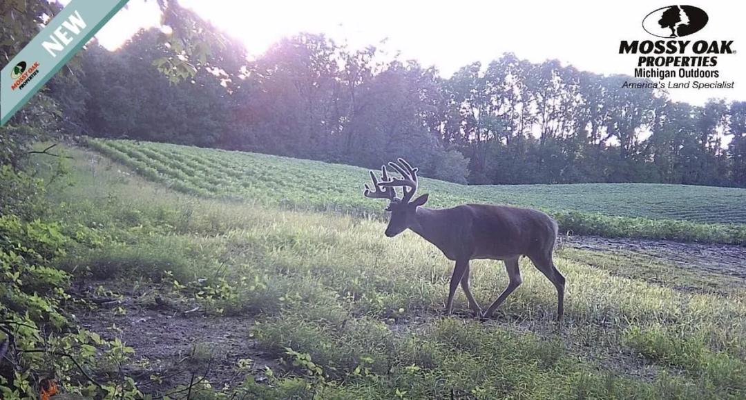 77 Acres of Prime Tillable Ground & Trophy Whitetail Hunting