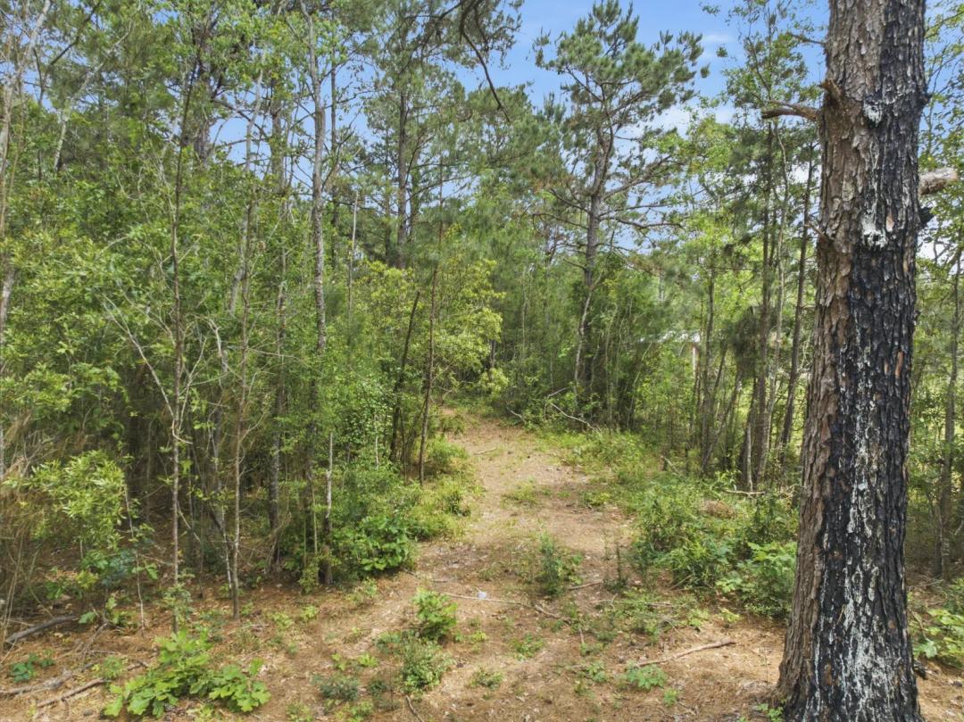 Beautiful 4.65 Acre Wooded Tract
