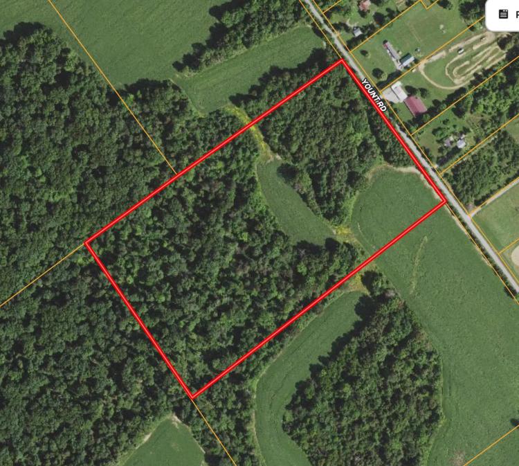 20 +/- ACRES / CLARK COUNTY / RECREATIONAL / POTENTIAL BUILDABLE / LAND FOR SALE