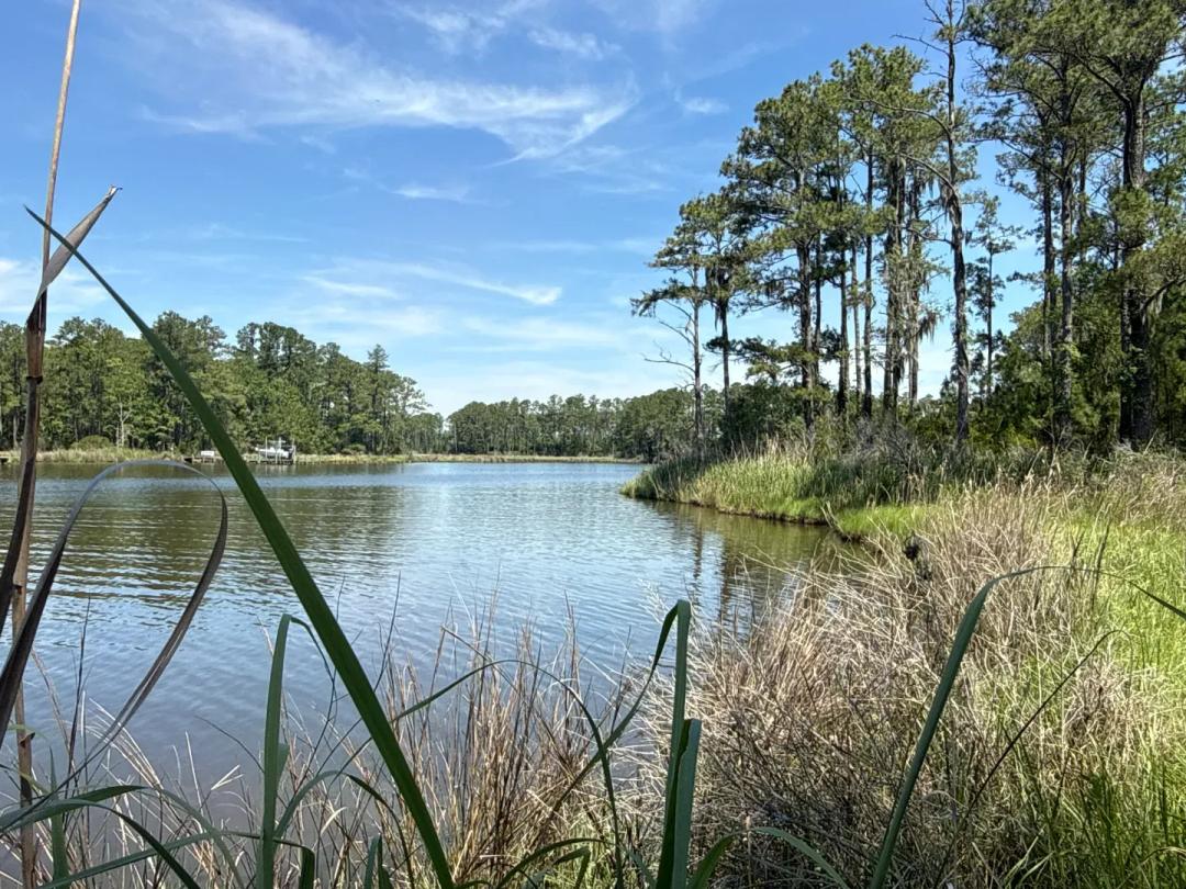 Your 1.41-Acre Escape on Ross Creek