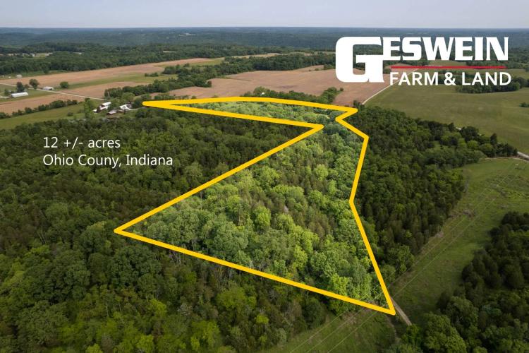 12+/- Acres Recreational Retreat with Pond, Woods, &amp; Build Site