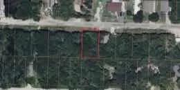 0.14-Acre Lot in Merriam Woods, Taney County, MO — Near Branson & the Lakes