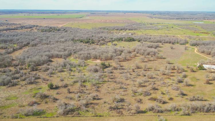 13.5 Acres in Milam County