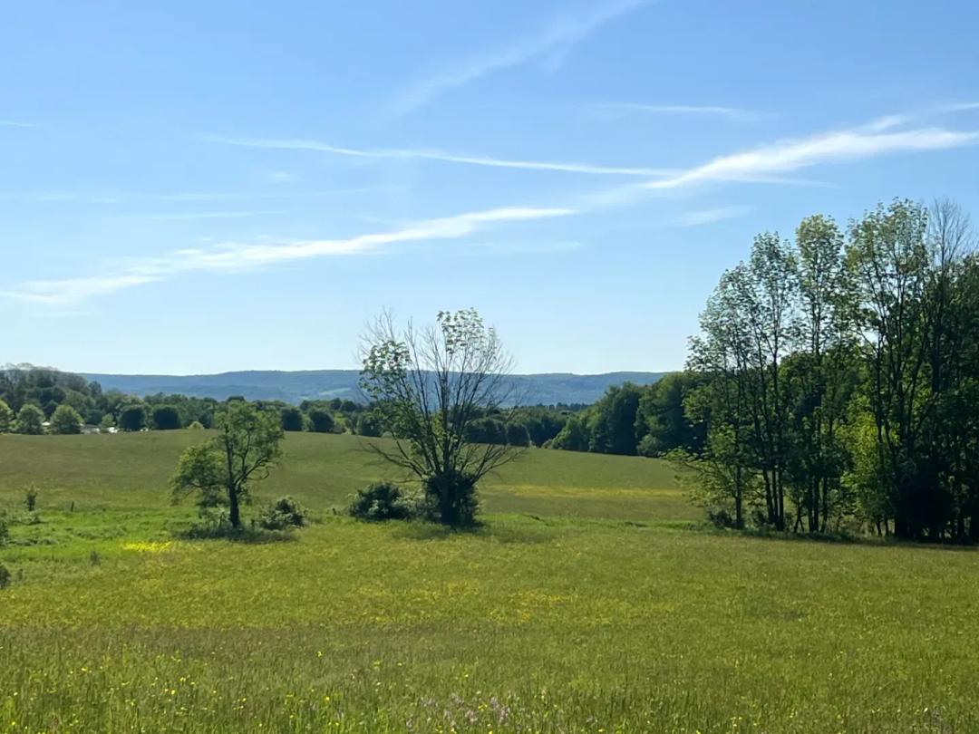 Southern Tier Home or Hunting Camp Site