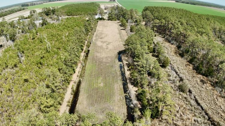 17.00 Acres at 0 Loop Road