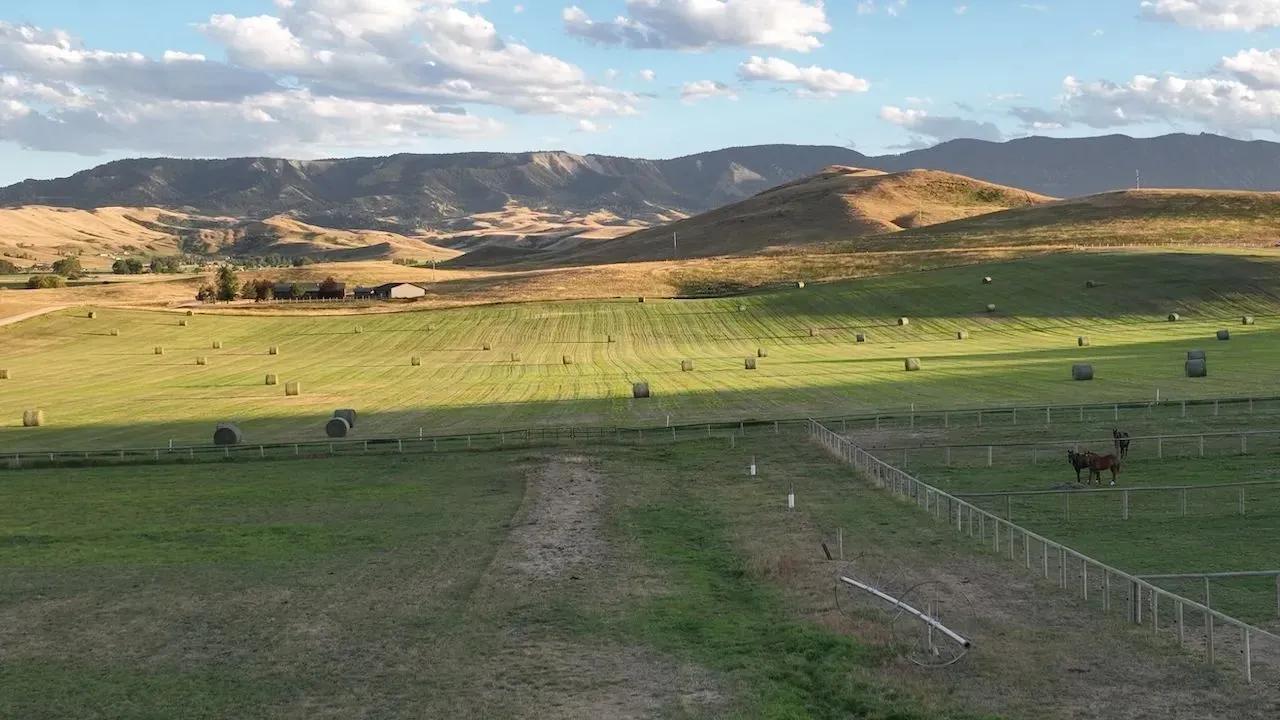 24786272-7