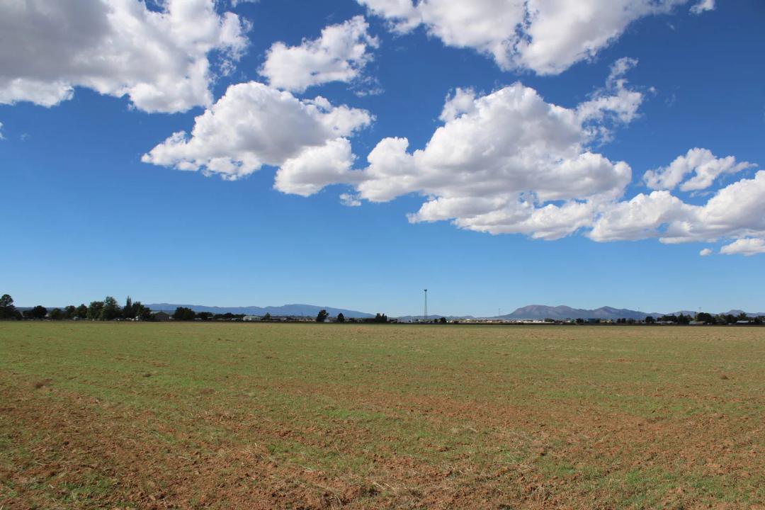 Future Forward: 80 Acres of Potential Development Property