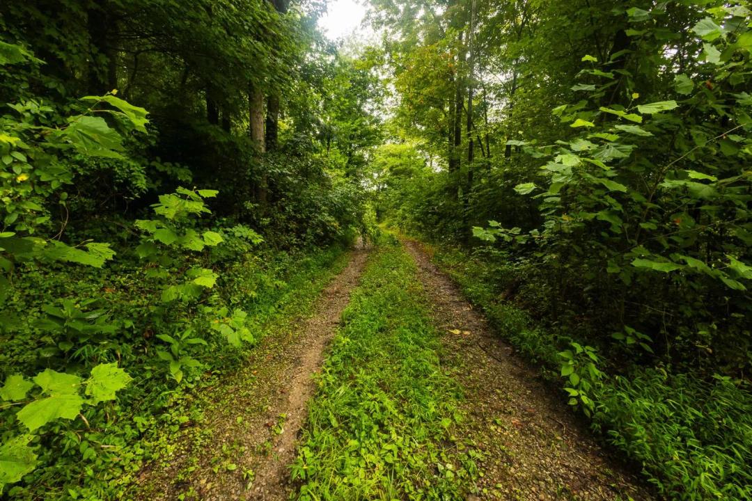 67.00 Acres at 0 Africa Rd