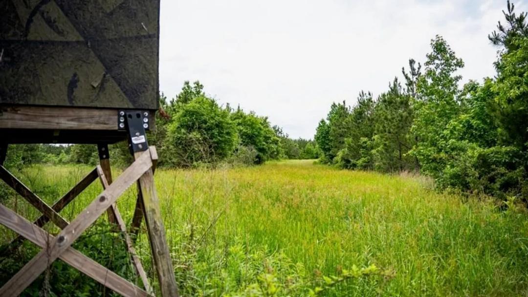 Hunting Land in Morehouse Parish Near Bastrop, LA