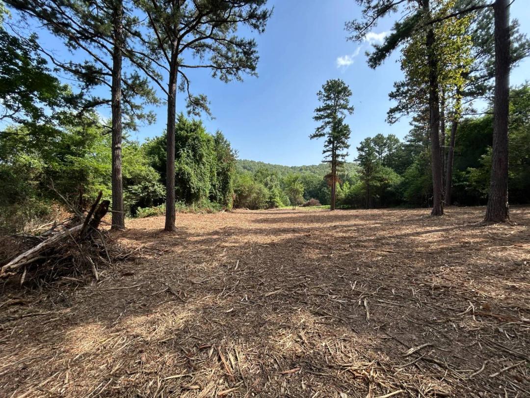 Beautiful 4± Acre Building Site Between Ozark &amp; Altus