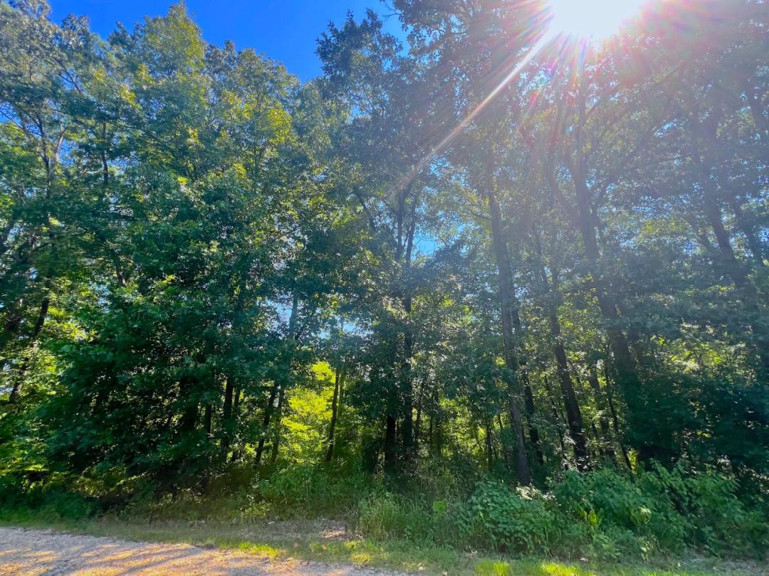 2.14 Acres at 310 White Fox Lane