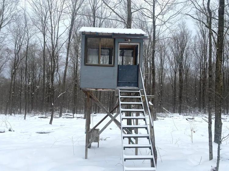 25 acres Wooded Hunting Land and Recreational Land in Scio NY Snowball Hollow Rd