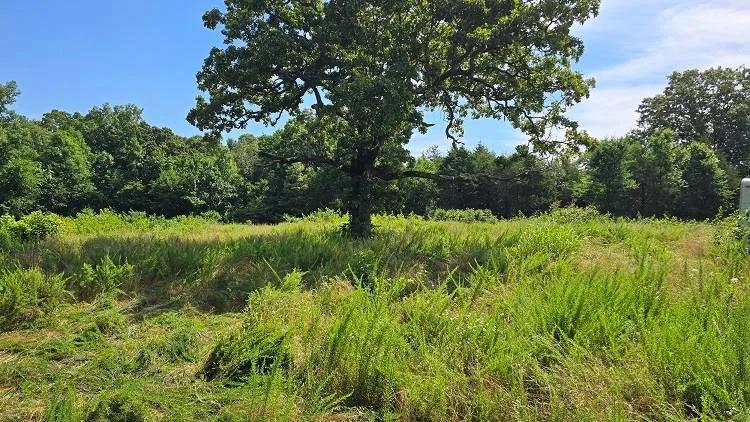 Two 20 Acre Tracts In Southeast Missouri For Sale