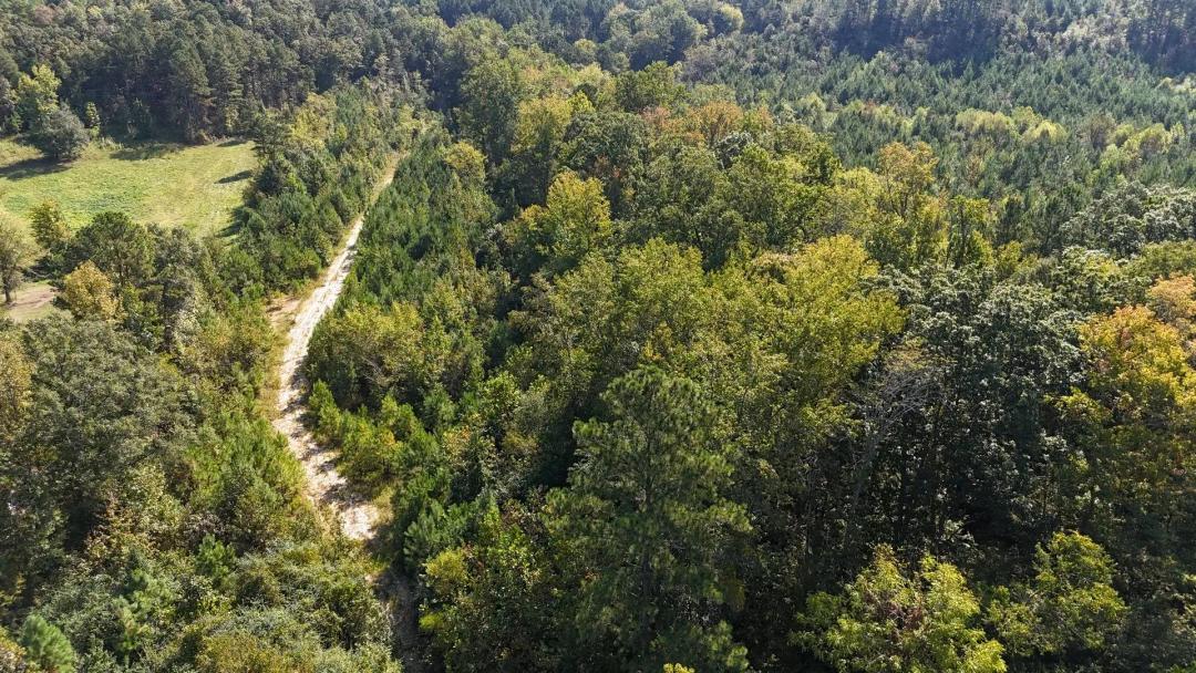 119 Acres - Holtzclaw Hills Tract