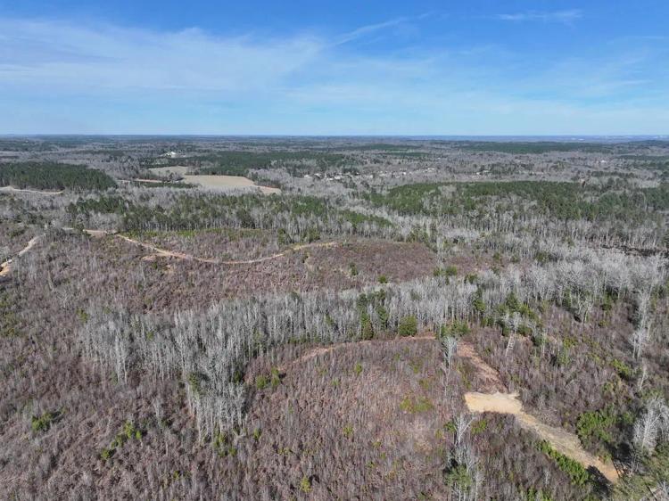 16.58 Acres in Tuscaloosa County, AL