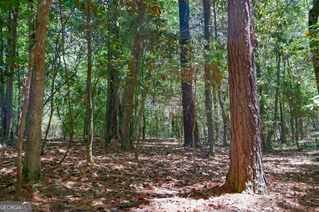 54 Acres of Land for Sale in Cochran, GA