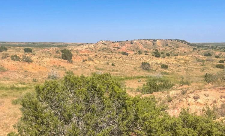 Carter Ranch