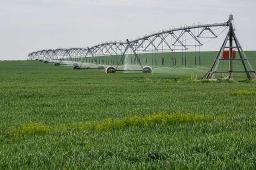 img_Fry-Farm_133029