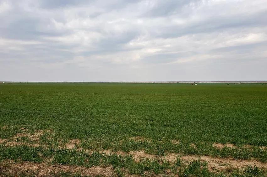 6332 Acre Fry Farm – Oklahoma