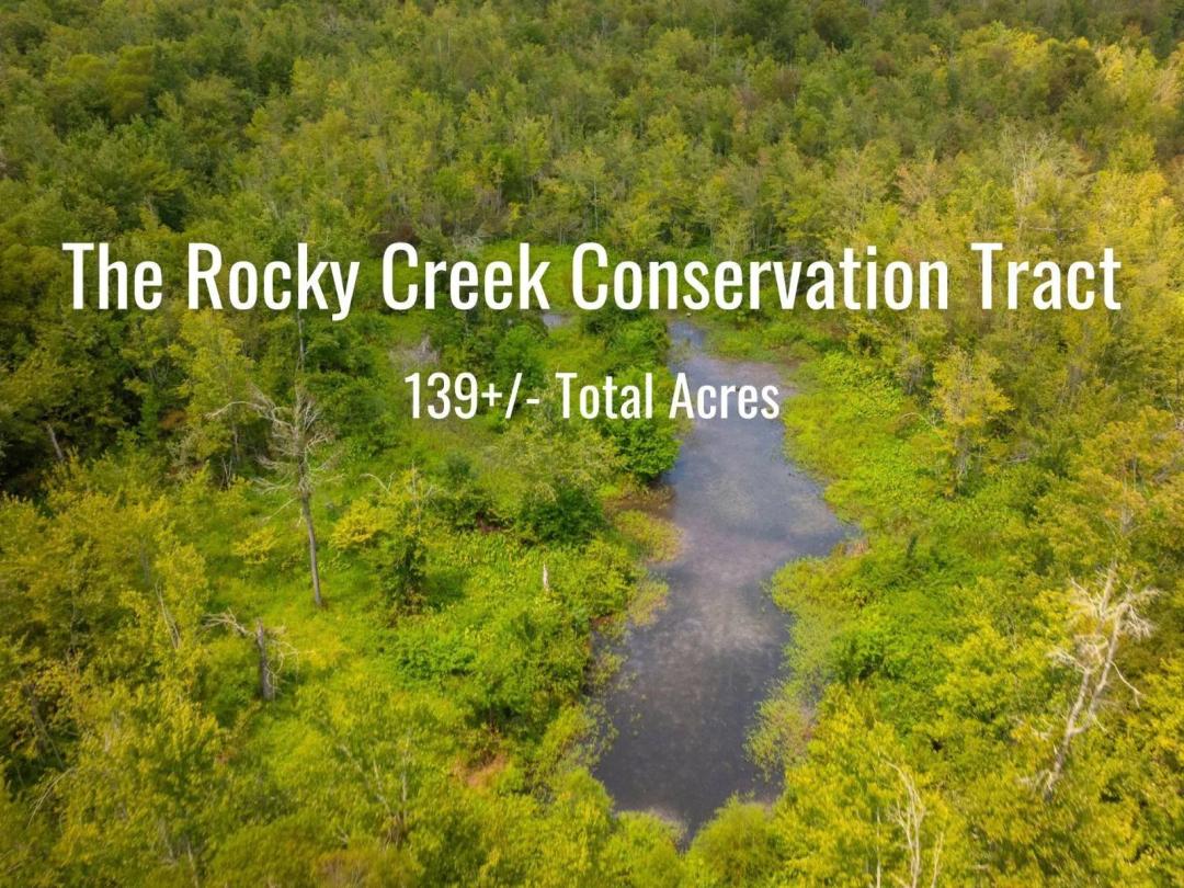 The Rocky Creek Conservation Tract - 139± Acres - Macon Georgia
