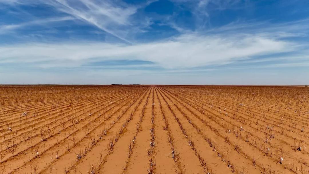 880± Acres Dawson County
