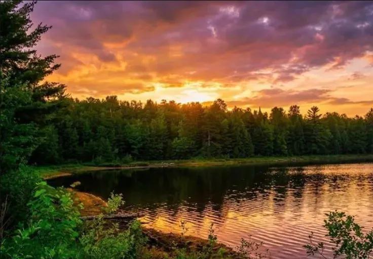 Quiet Waterfront Acreage in the U.P. 50207097