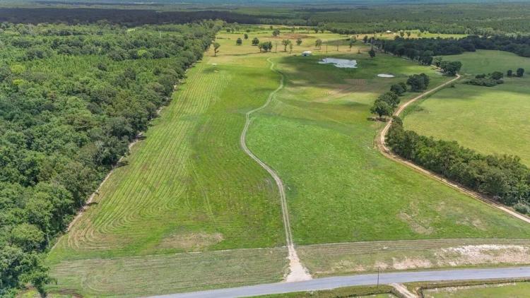 Mississippi Cattle Farm For Sale Pearl River County
