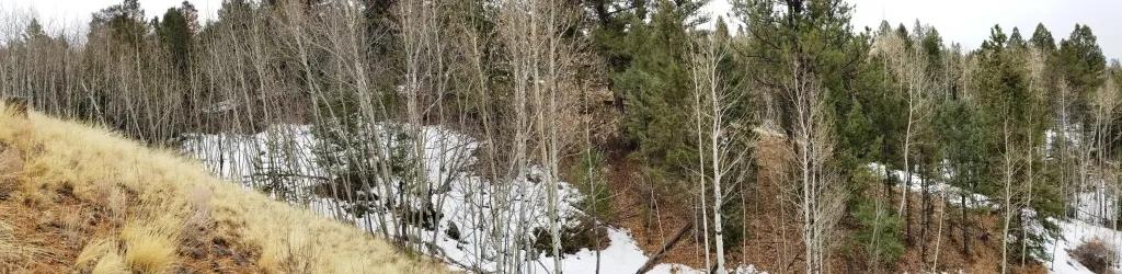 Hills  Trees Views * graded roads * Power