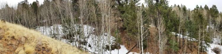 Hills  Trees Views * graded roads * Power